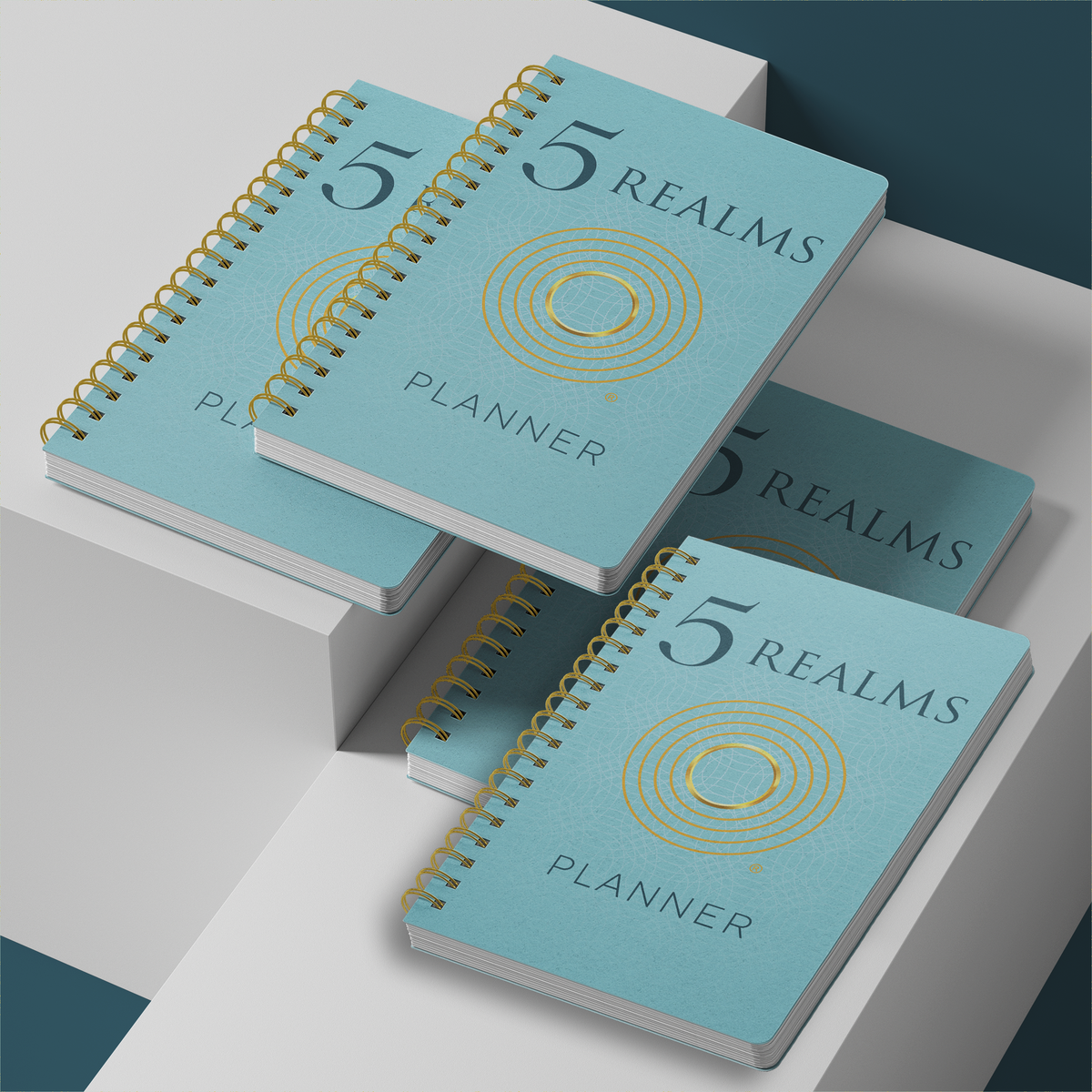 5 Realms Planner (Annual) 4 Planners (with sturdy storage box ...